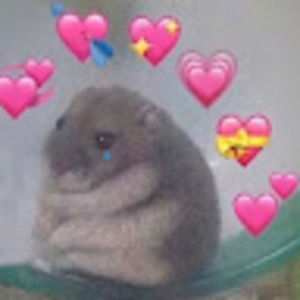 Meet your Posher, Camila